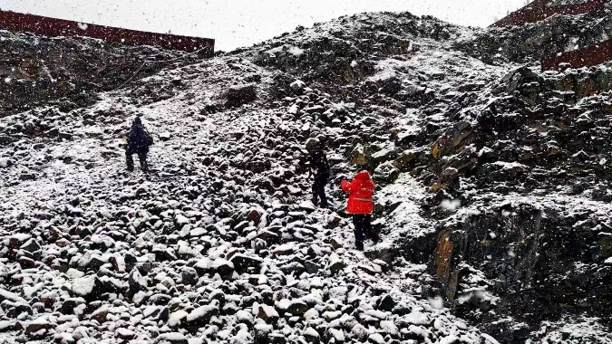 世贸组织上调2025年全球货物贸易增长预期至2.4%