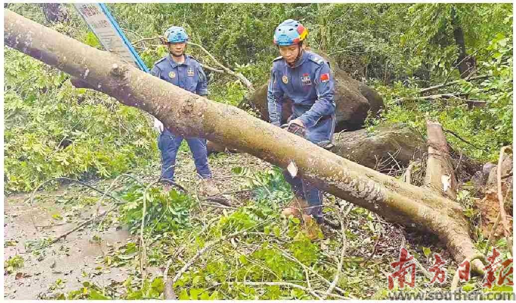 阳江市江城区阳蓝应急救援队驰援徐闻。