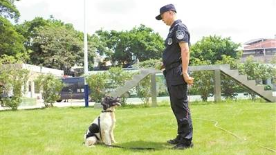 走进广州天河警犬基地 看看缉毒犬“尖兵”是如何炼成的？