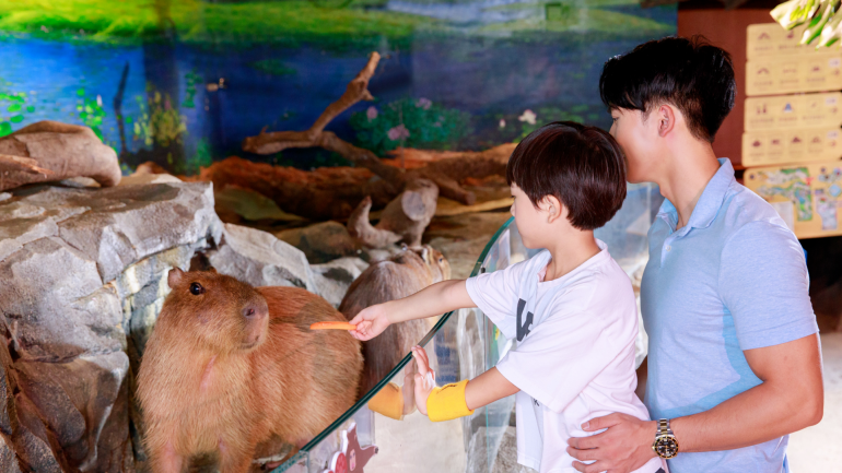 Delve into animal world during May Day holiday in Guangzhou