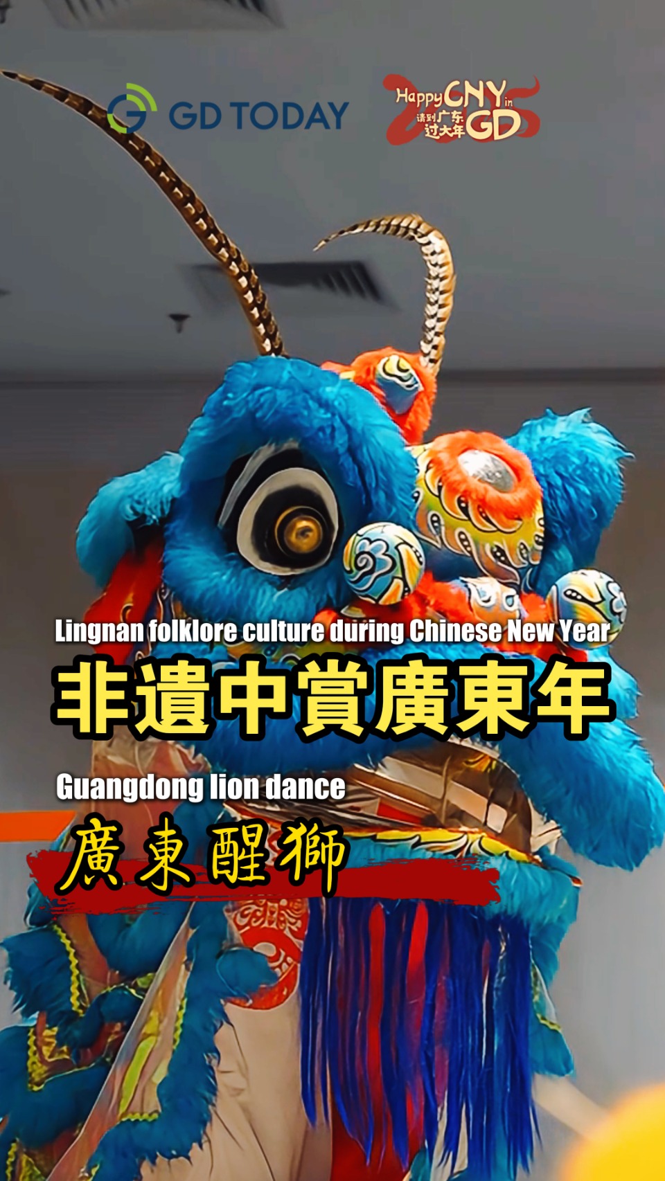 2025 Happy Chinese New Year | GDToday