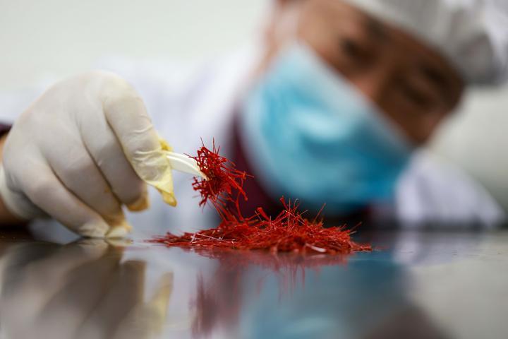 2025年11月6日，贵州省铜仁市玉屏侗族自治县朱家场镇茅坡村村民在烘烤藏红花丝。近年来，贵州省玉屏侗族自治县在推进乡村振兴工作中，采取“东西部协作+村集体+公司+农户”的模式，大力发展藏红花种植，并形成育种、科研、智能管护、深加工、销售为一体的产业链，助力农民持续增收。