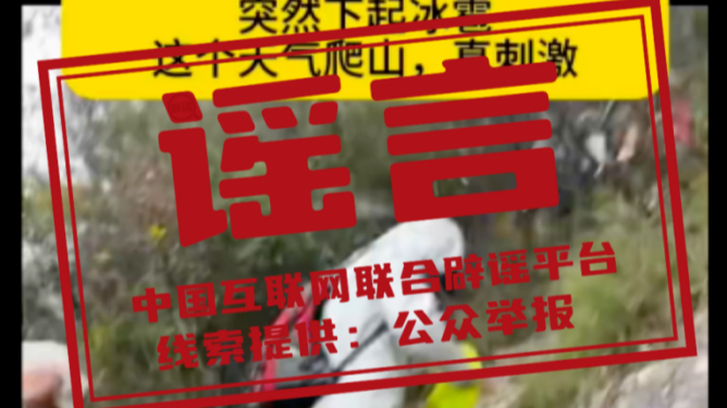 今日辟谣（2025年11月26日）