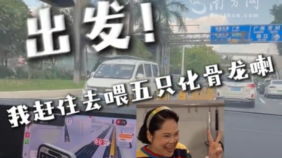 广东人用上了！“白斩鸡女神”李彩娇语音导航包上线