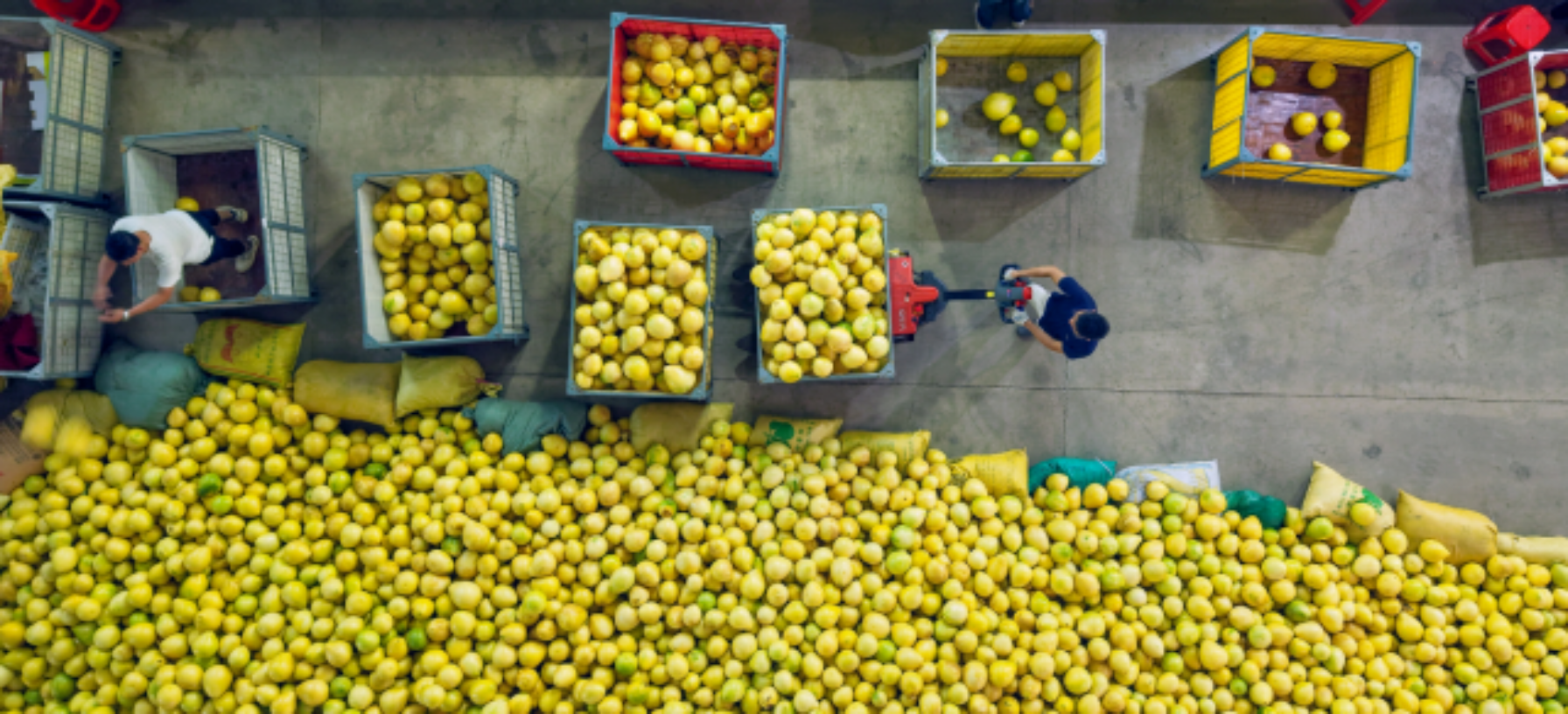 There's always a road back home leading to Meizhou
