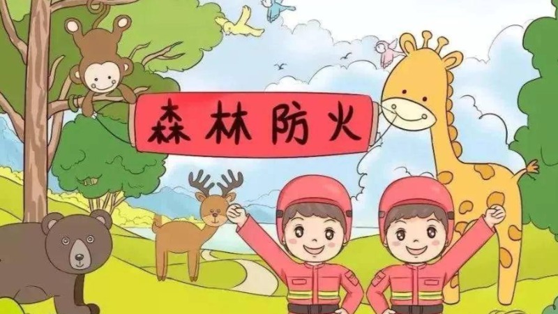 关注森林防火 守护绿色家园丨云城区全力织密森林防灭火安全网