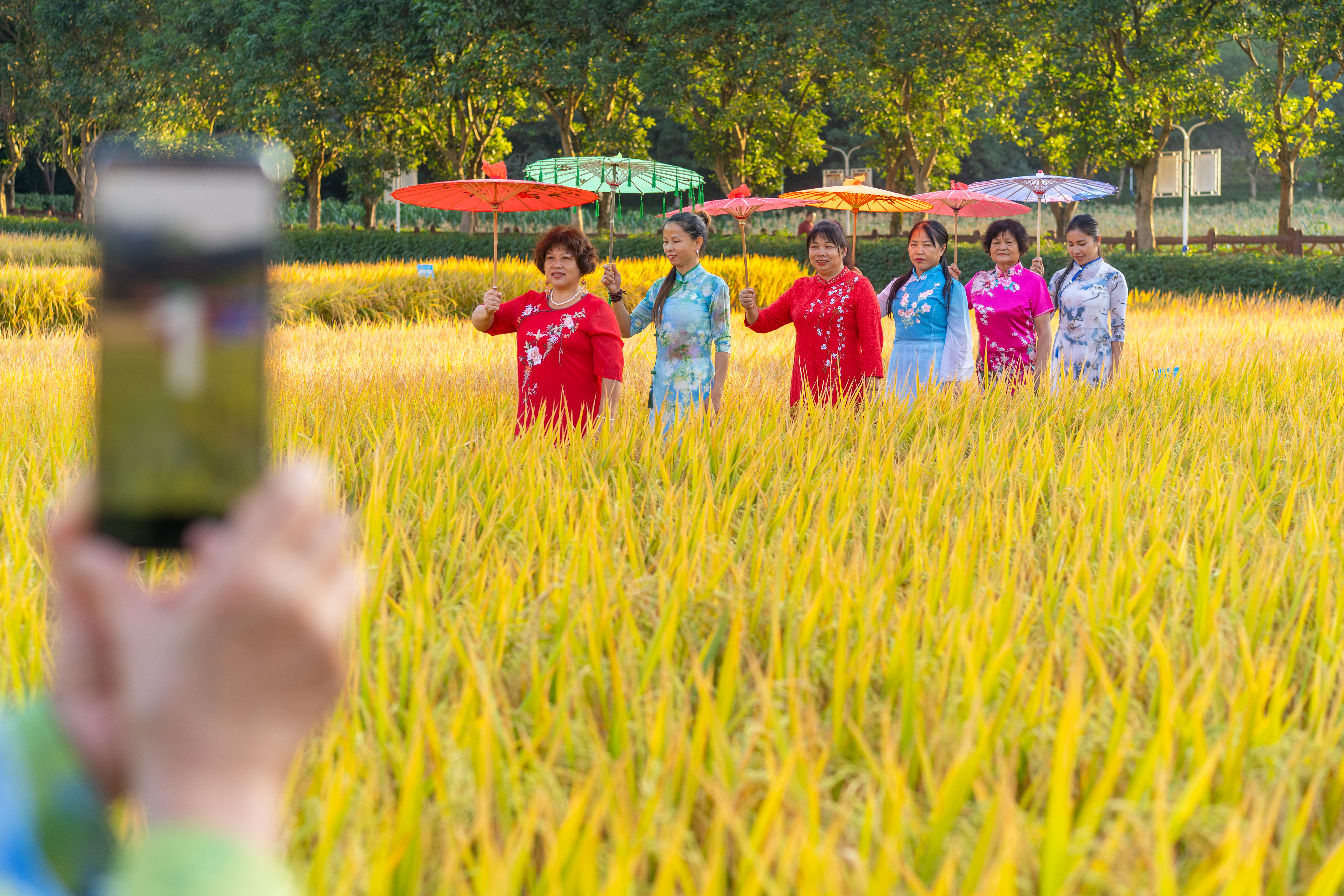 就现在，一起去南山公园遛弯~