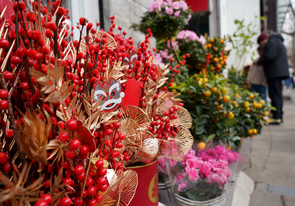 1月30日，市民在位于杭州市区的浙江凤起花鸟城选购花卉。 新华社记者 韩传号 摄