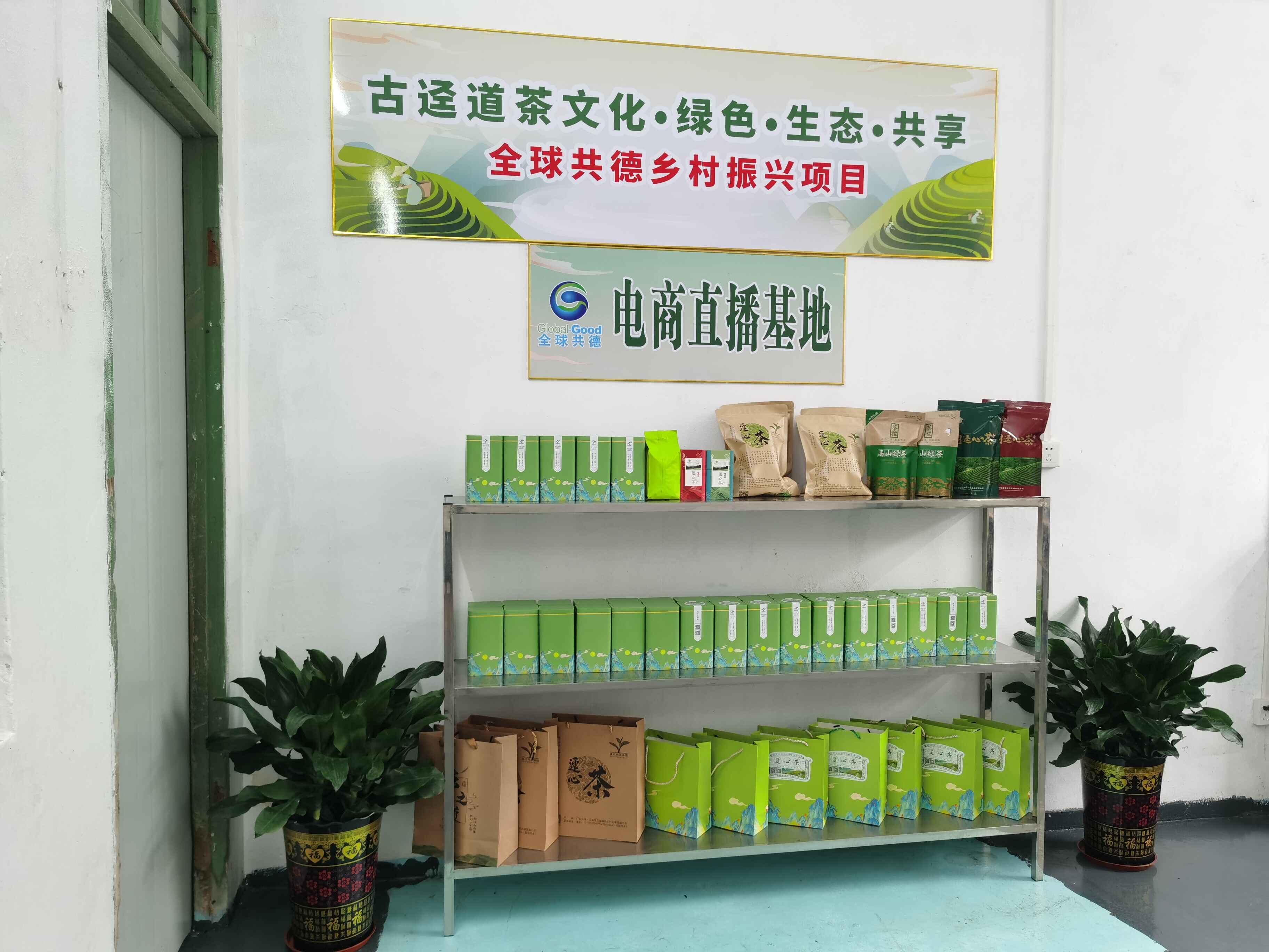 镇出发 | 云安： “小茶叶”变身“大产业”
