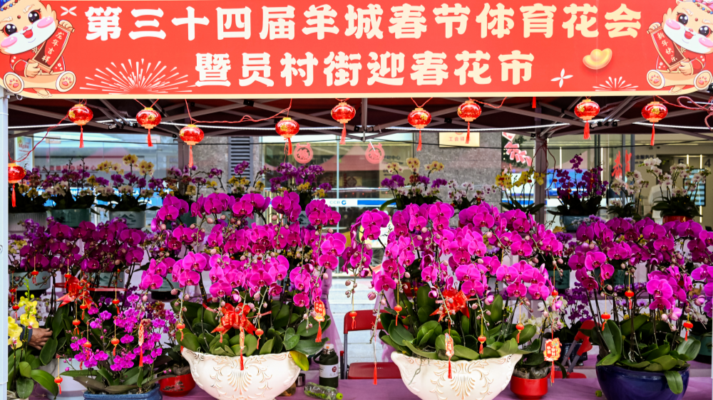 广州市总工会第三十四届羊城春节体育花会系列活动“龙”重登场