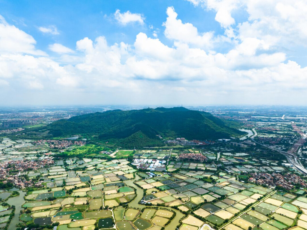 西樵山景区（来源：广东印记系列微视频）