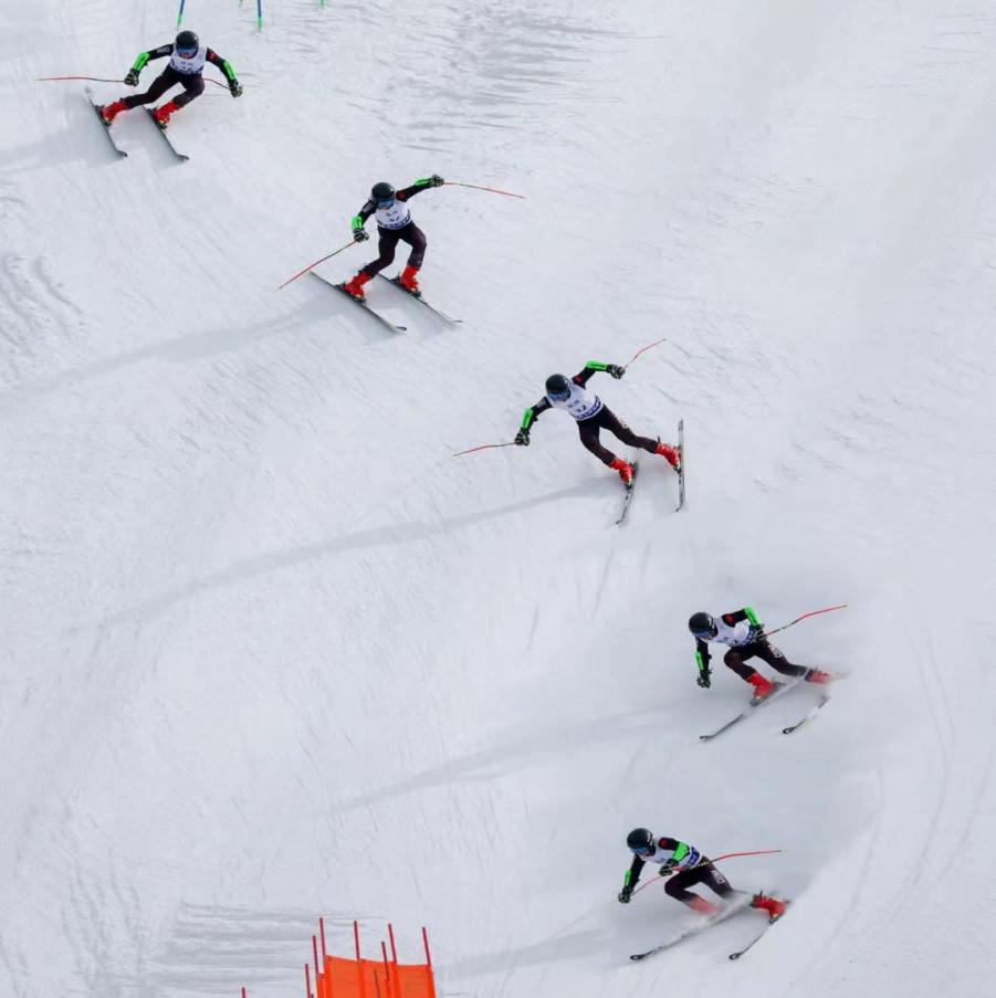 “十四冬”高山滑雪、跳台滑雪项目收官 广东联合培养选手表现亮眼