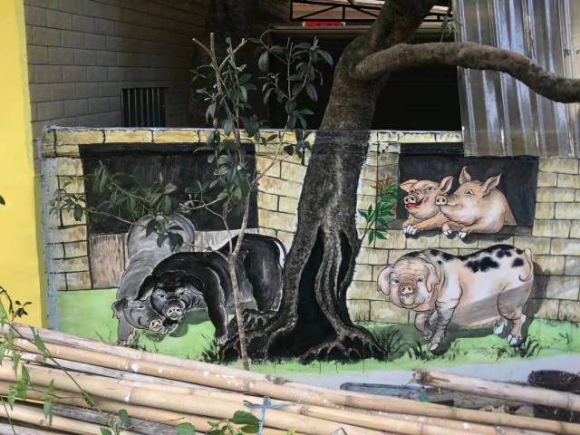 一支妙笔，巧绘美丽乡村 | 云浮青春合伙人·第二季