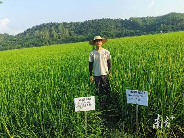 返乡大学生的种粮经丨云浮青春合伙人·第二季