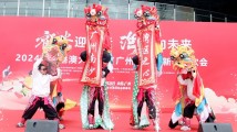 写意春天里 湾区花正开 写意春天里 湾区花正开