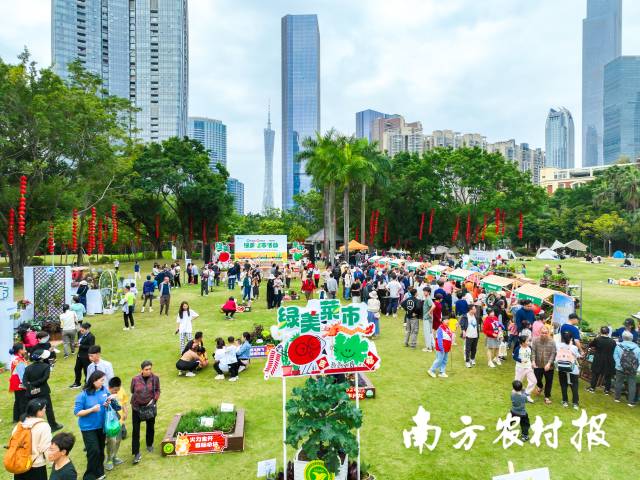 绿美菜市活动在广州市珠江公园举办。