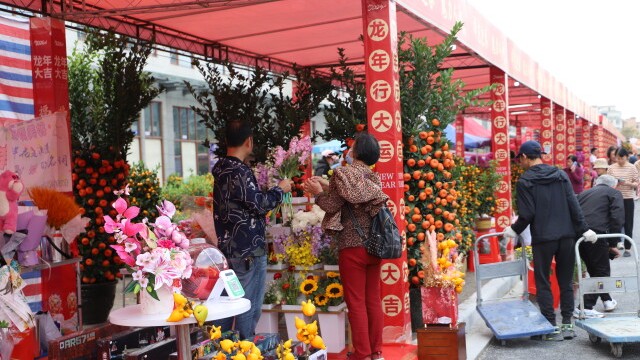 年味儿十足，广州市白云区人和镇迎春花市热闹开市