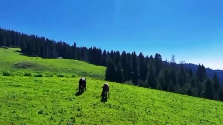 “小众游” “慢生活”“夕阳团”……解锁这些旅游新玩法