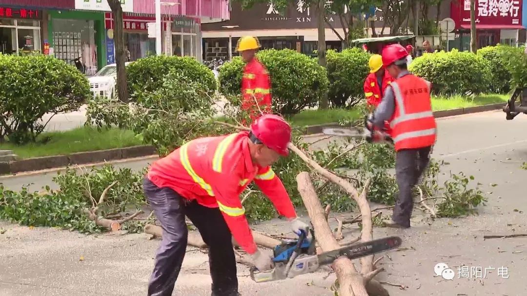 揭阳市榕城区城管执法局工作人员对高大树木进行减负修剪