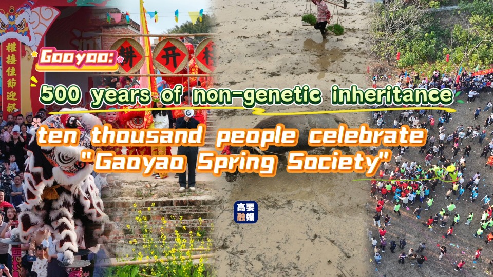 Gaoyao: 500 years of non-genetic inheritance, ten thousand people celebrate "Gaoyao Spring Society"