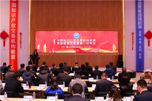 Hengqin exchange unites intellectual property units