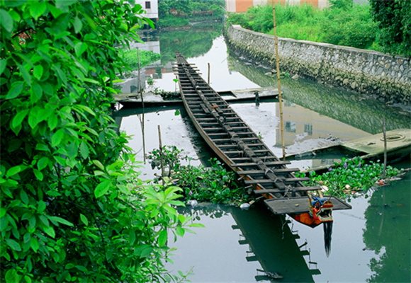 Agricultural Boat Racing in Panyu
