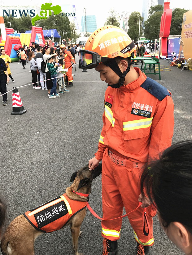 Search dogs of Guangdong Fire Department 广东消防搜救犬