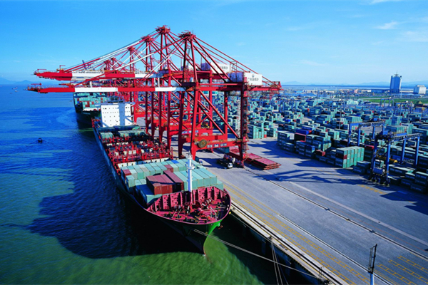 [GZ] Robust transport network shapes dreams