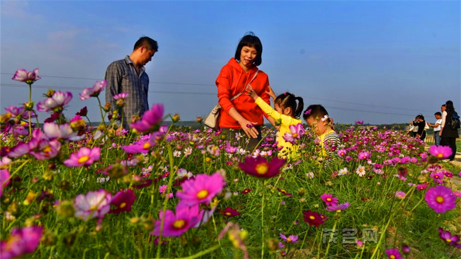 Maoming: New Year, New Hope