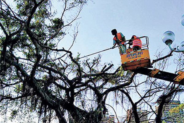 Shenzhen helps Zhuhai in typhoon aftermath