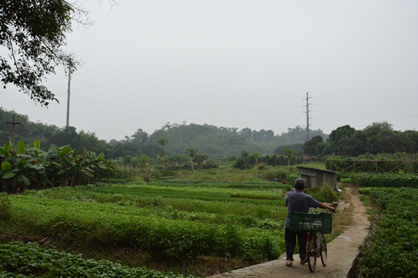 5. Rural sceneries