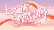 搭桥!咱们不输喜鹊! 搭桥!咱们不输喜鹊!