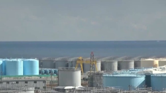 我驻日本使馆：敦促日方不要造成覆水难收的局面