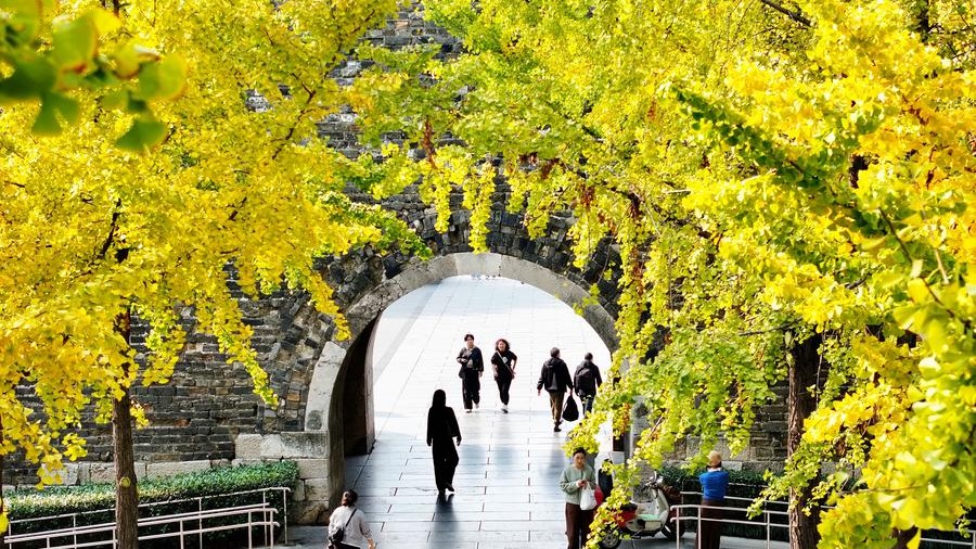 Paysage hivernal précoce en Chine