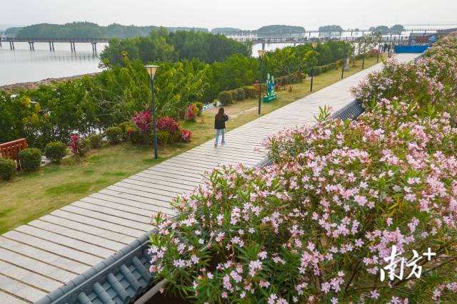  水东湾畔栈道。