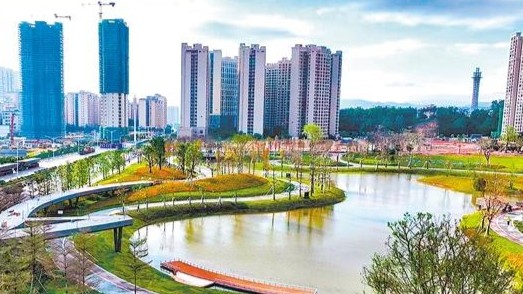粤西小城多业态融合提质焕新