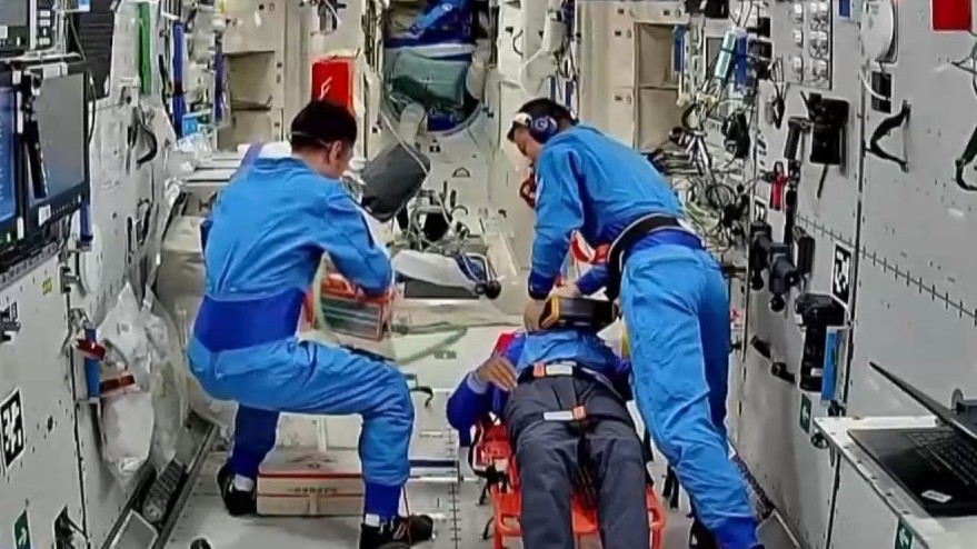 开展涡虫空间再生实验 神二十乘组“天宫报告”请查收
