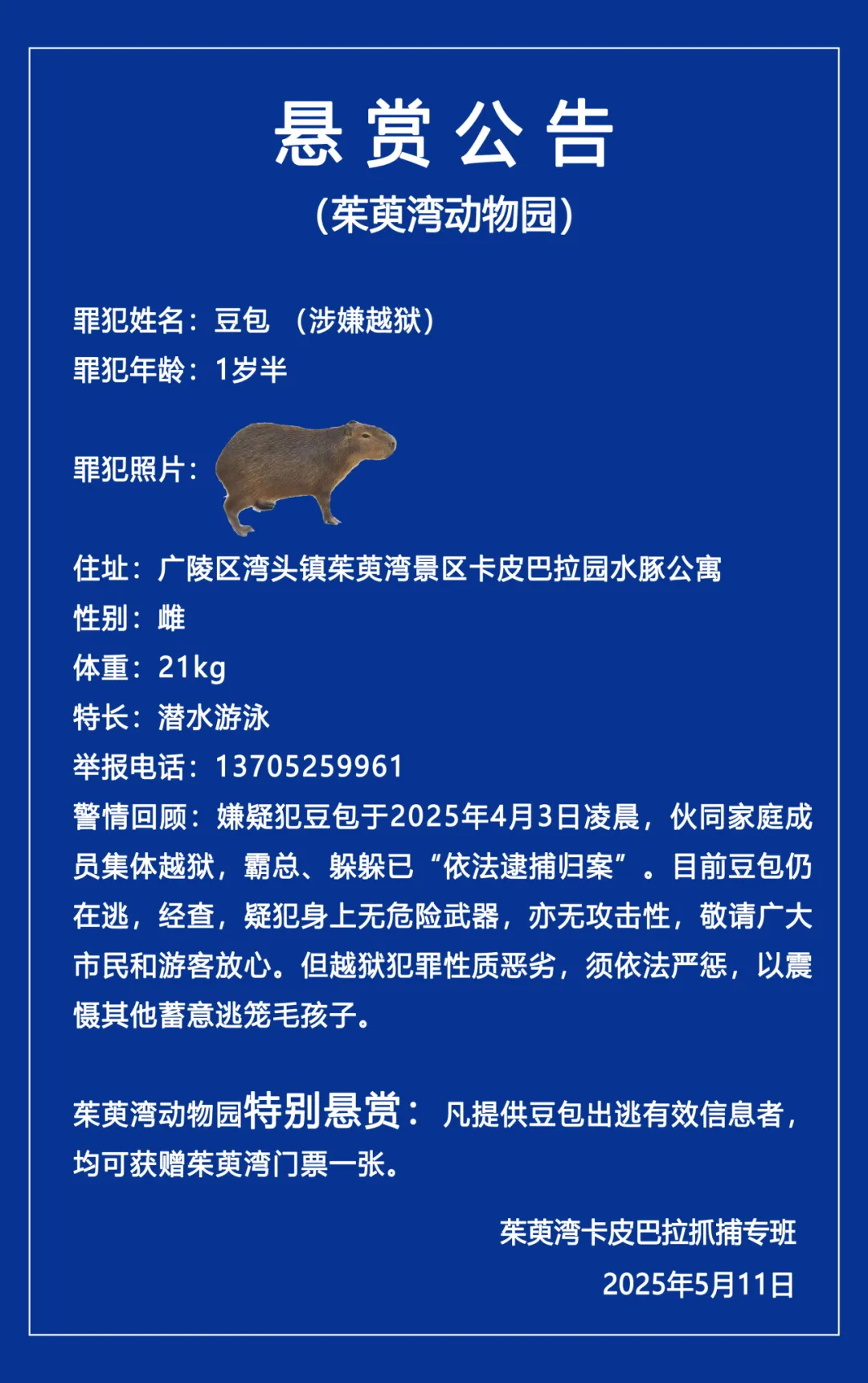 卡皮巴拉已出逃40天！扬州一动物园发布悬赏公告→