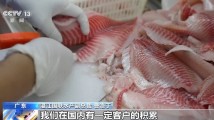 【央视新闻】从“标准化出口”到“定制化内需” 罗非鱼游出困境 【央视新闻】从“标准化出口”到“定制化内需” 罗非鱼游出困境