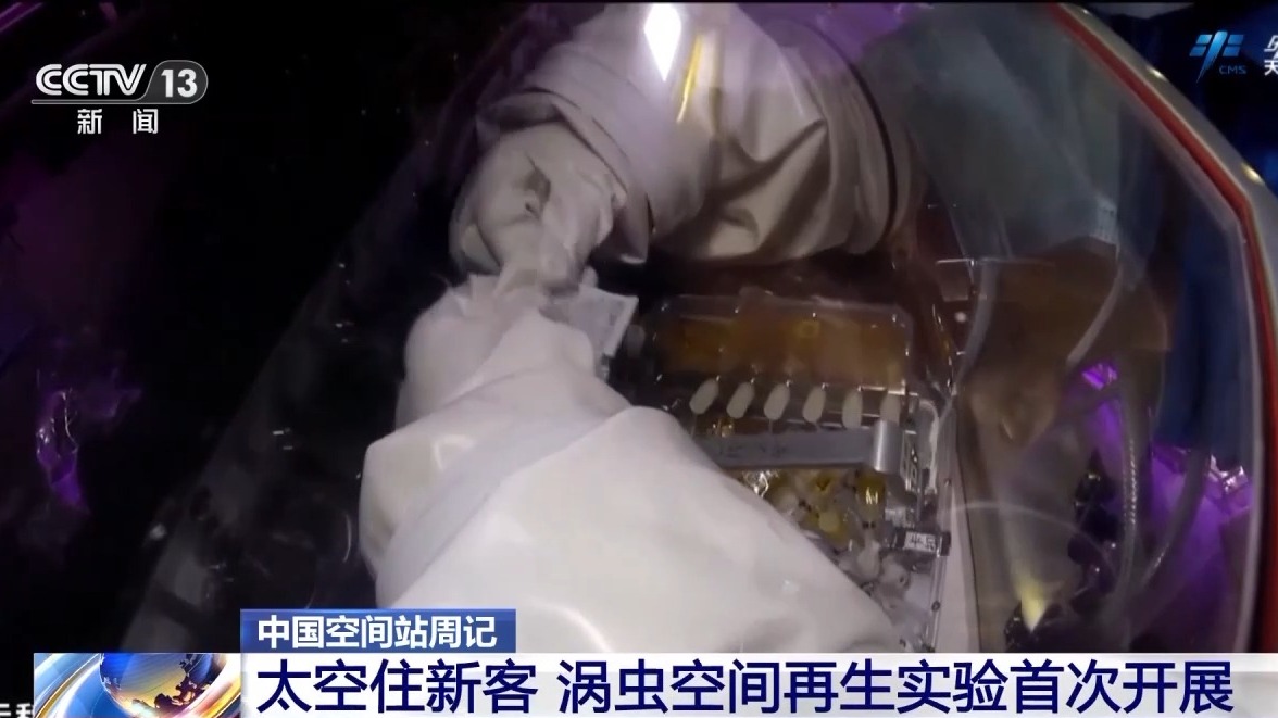 突破歐盟碳壁壘：廣東動(dòng)力電池產(chǎn)業(yè)重構(gòu)閉環(huán)碳價(jià)值鏈