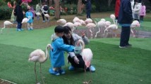 外地游客晒广州过年账单:“年味浓”“选择多”“性价比高” 外地游客晒广州过年账单:“年味浓”“选择多”“性价比高”