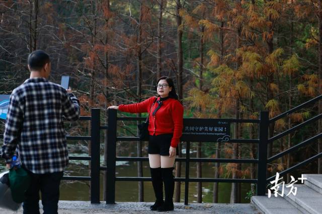 身穿喜庆色系服装的游客在网红树林前留影。