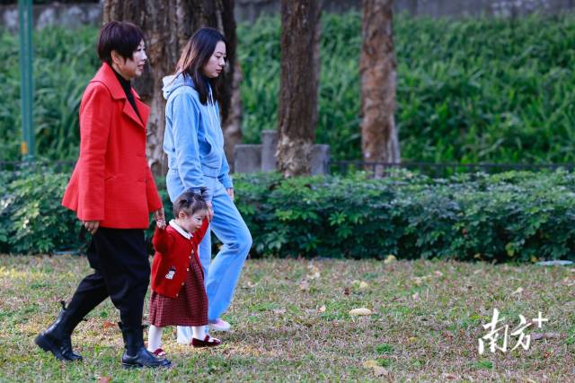 身穿喜庆色系服装的孩童在家长的搀扶下于草坪上学步。