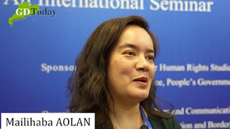新疆学者：未发生暴恐案件就是对人权的最大保障