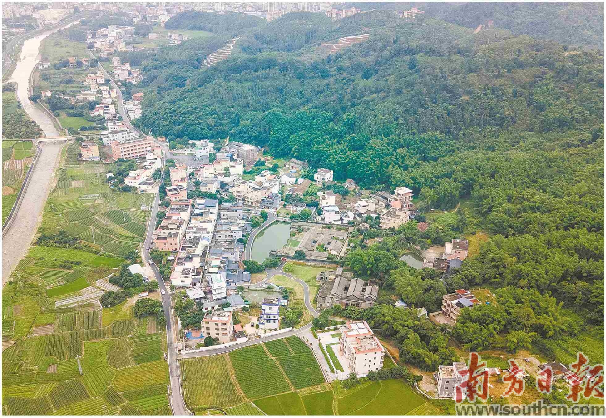 注意，新一股冷空氣即將上崗！今明兩天廣東大部早晚有輕霧或霧