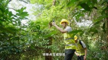 世界电信日丨通信青年的“追光日志” 世界电信日丨通信青年的“追光日志”