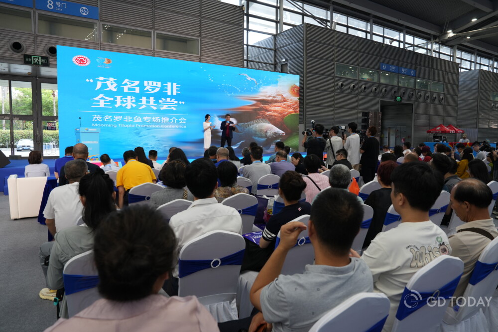
Maoming Tilapia Promotion Conference Held: Inviting the World to Enjoy High-Quality Fish.