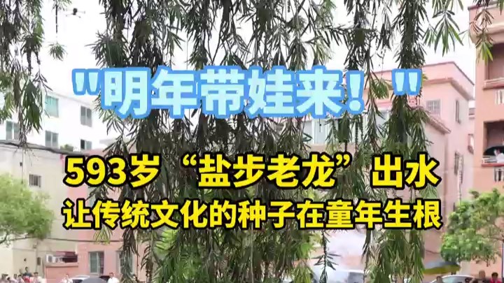 “明年带娃来！” 593岁“盐步老龙”出水，让传统文化的种子在童年生根