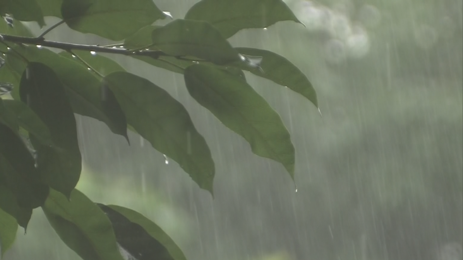 注意防御！深圳扩展分区暴雨黄色预警信号