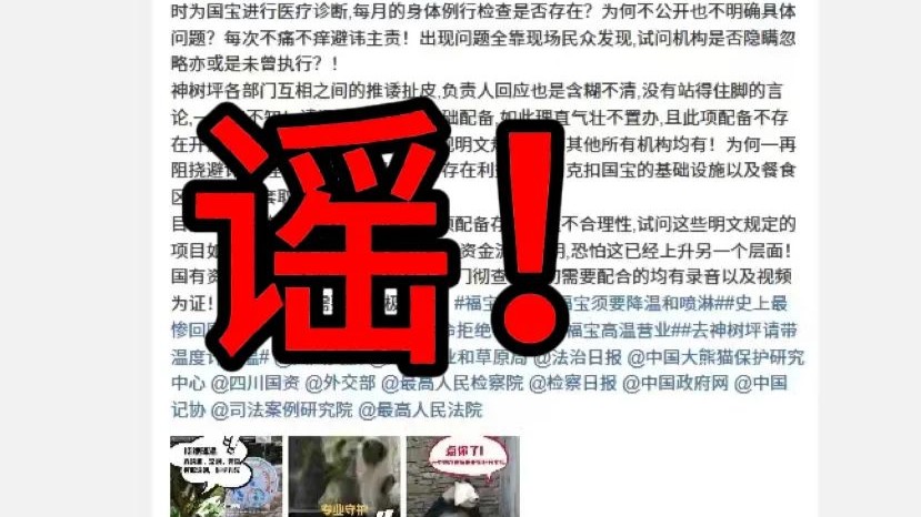 大熊猫“竹子和冰块二选一”、基地拒绝装空调？假的！｜破谣局